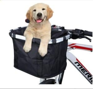 How to Ride Bike with a Dog in a Basket - dog in a bike basket