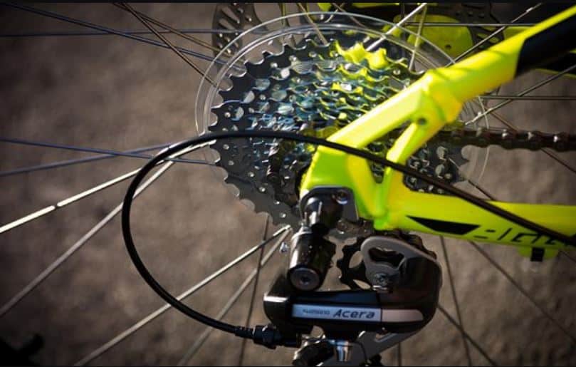 Is a Spoke Protector Necessary- a bikes freewheel and a spoke guard.