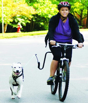 Is it Legal to Ride a bike With a Dog