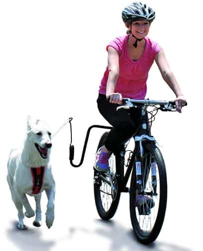 Walky dog bike leash for riding with a dog