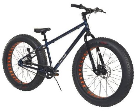 What Are Fat Tire Bikes Good For
