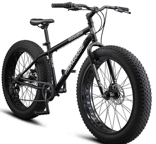 Are Fat Bikes Expensive